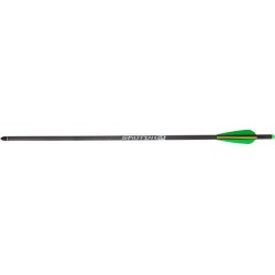 Skorpion Dardo Carbonio 20''